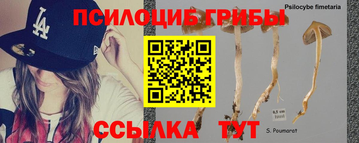 Псилоцибиновые грибы Magic Shrooms Назрань